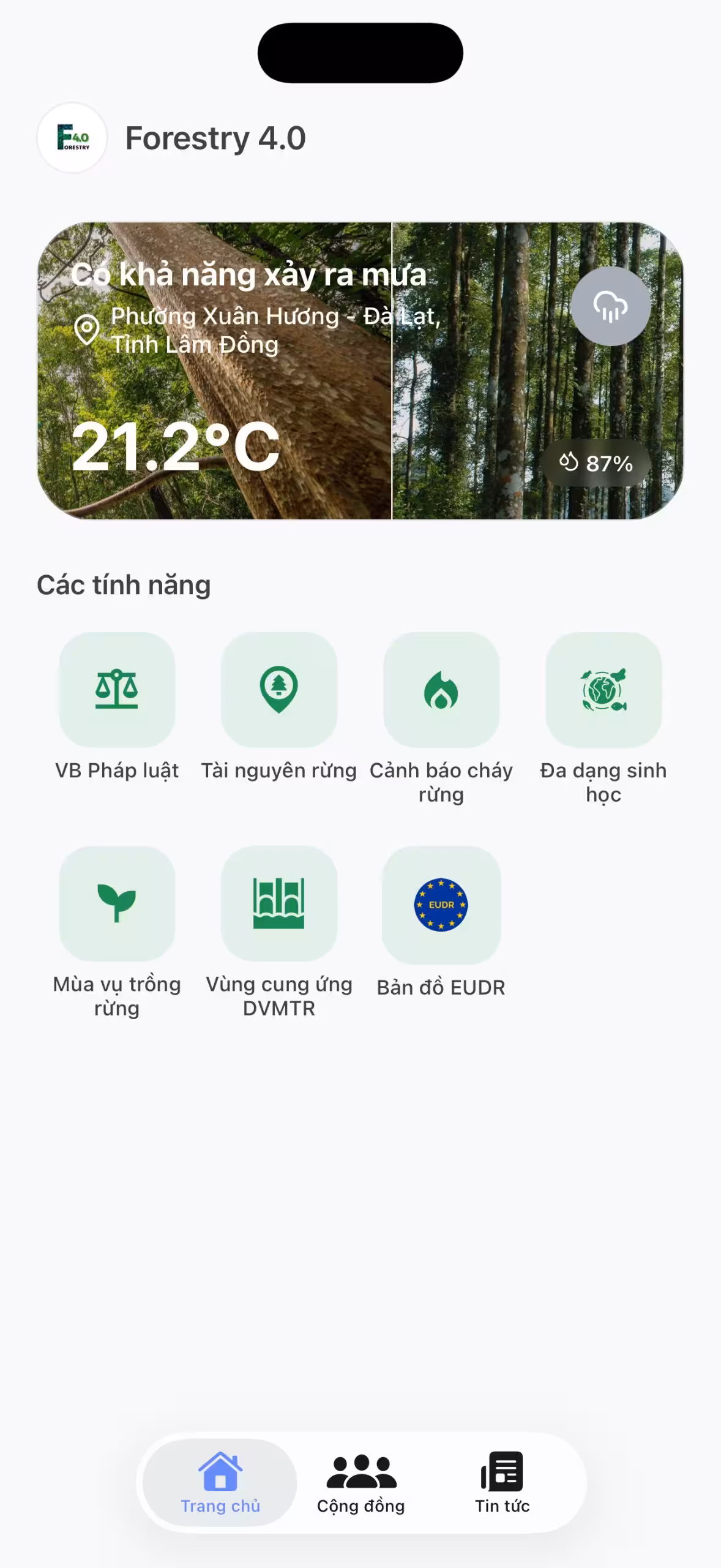 hình 1