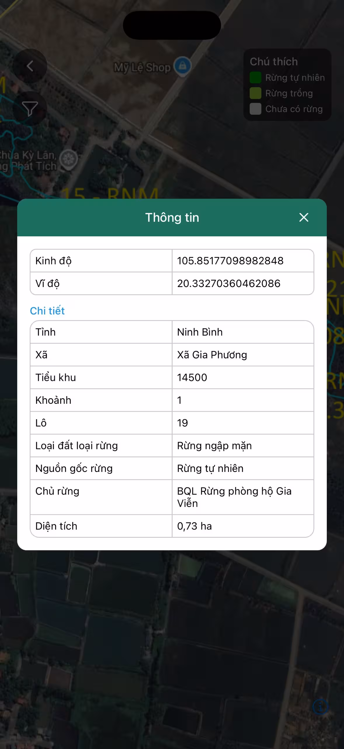 hình 6